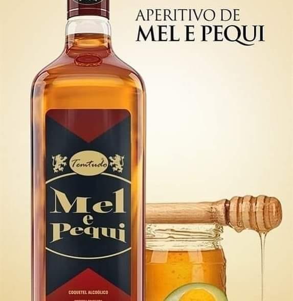 TemTudo Honey and Pequi Cachaca Cocktail 900ml - Brazilian Shop