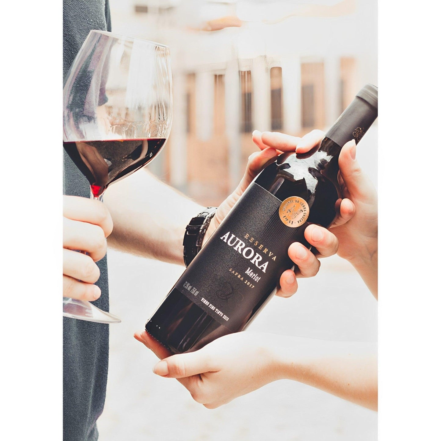 Aurora Reserva Merlot Dry Red Wine 750ml - Serra Gaucha - Brazilian Shop