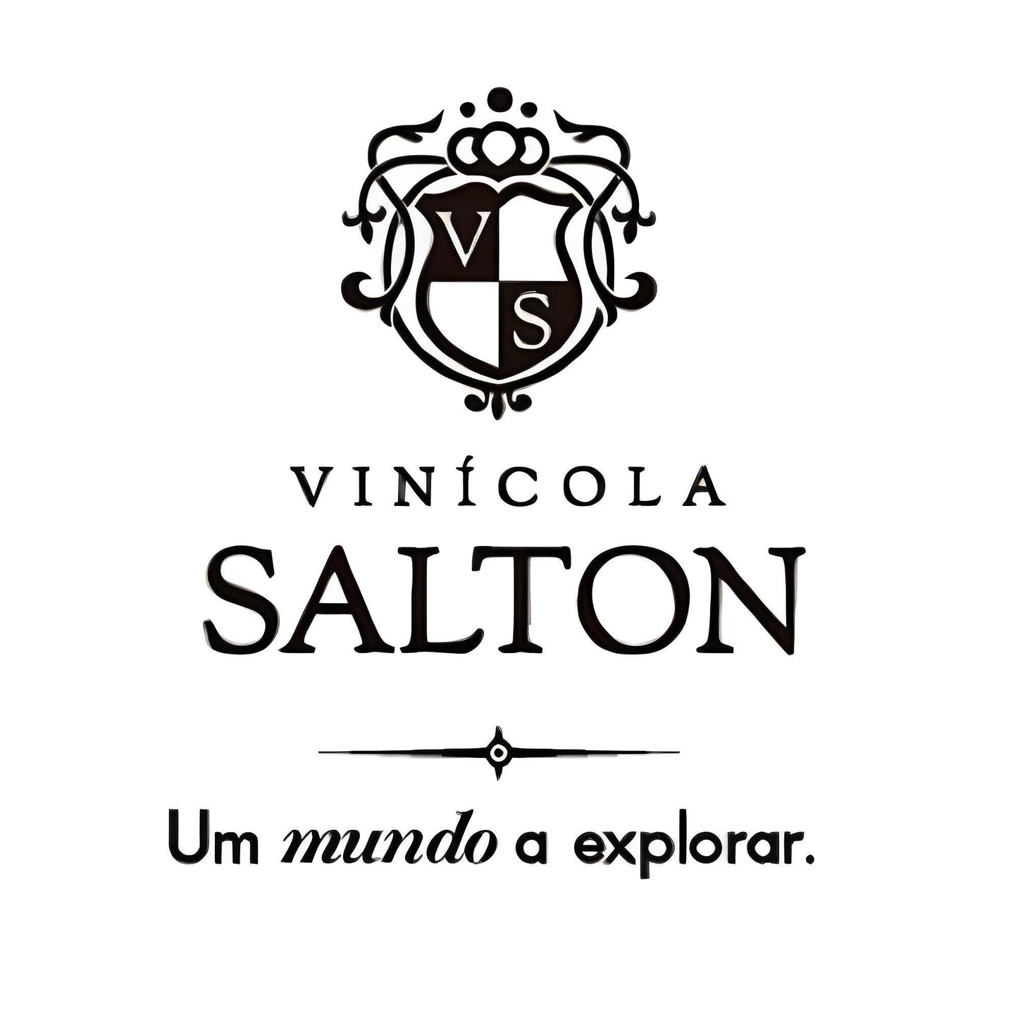 Salton Classic Cabernet Franc Dry Red Wine 750ml - Serra Gaúcha - Brazilian Shop