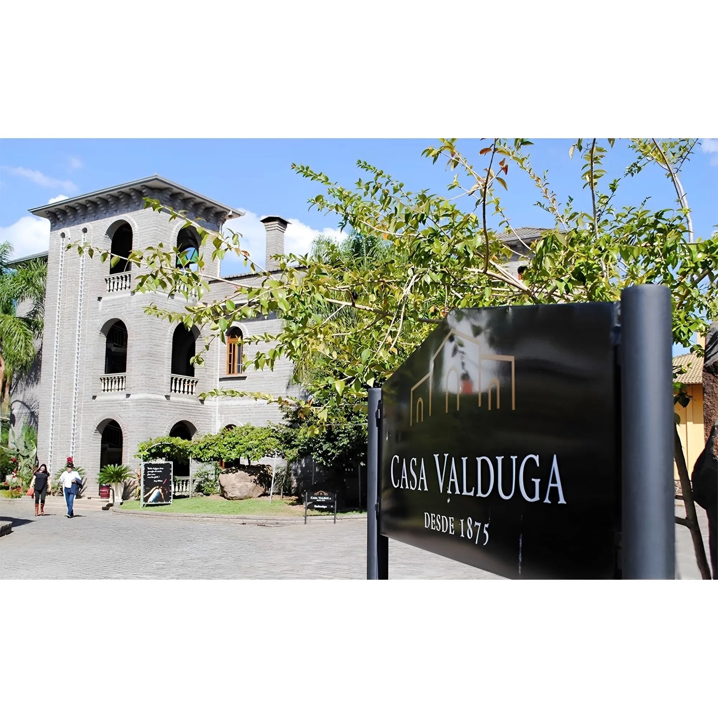 Vino Tinto Casa Valduga Origen Elegancia Cabernet Sauvignon Demi-Sec