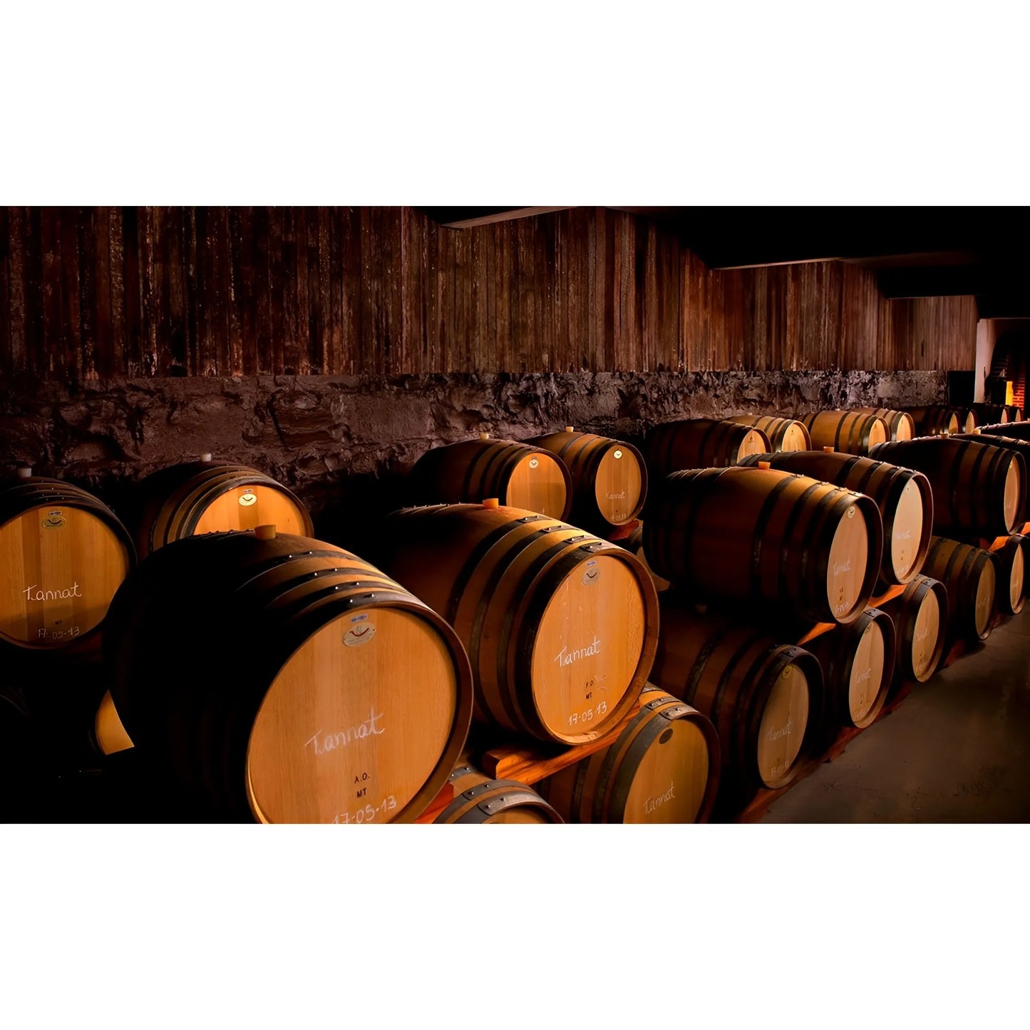 Dimly lit wine cellar with wooden barrels stacked in rows against a rustic stone wall.