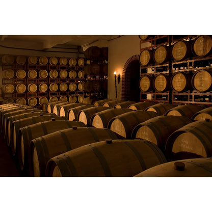 Wooden wine barrels stacked in a dimly lit cellar with warm, ambient lighting.