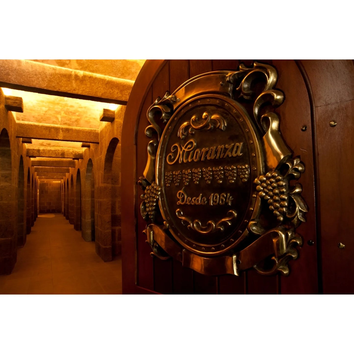 Mioranza Dry Red Wine 750ml 12,5% vol. (ABV 12,5%) Serra Gaucha - Brazil