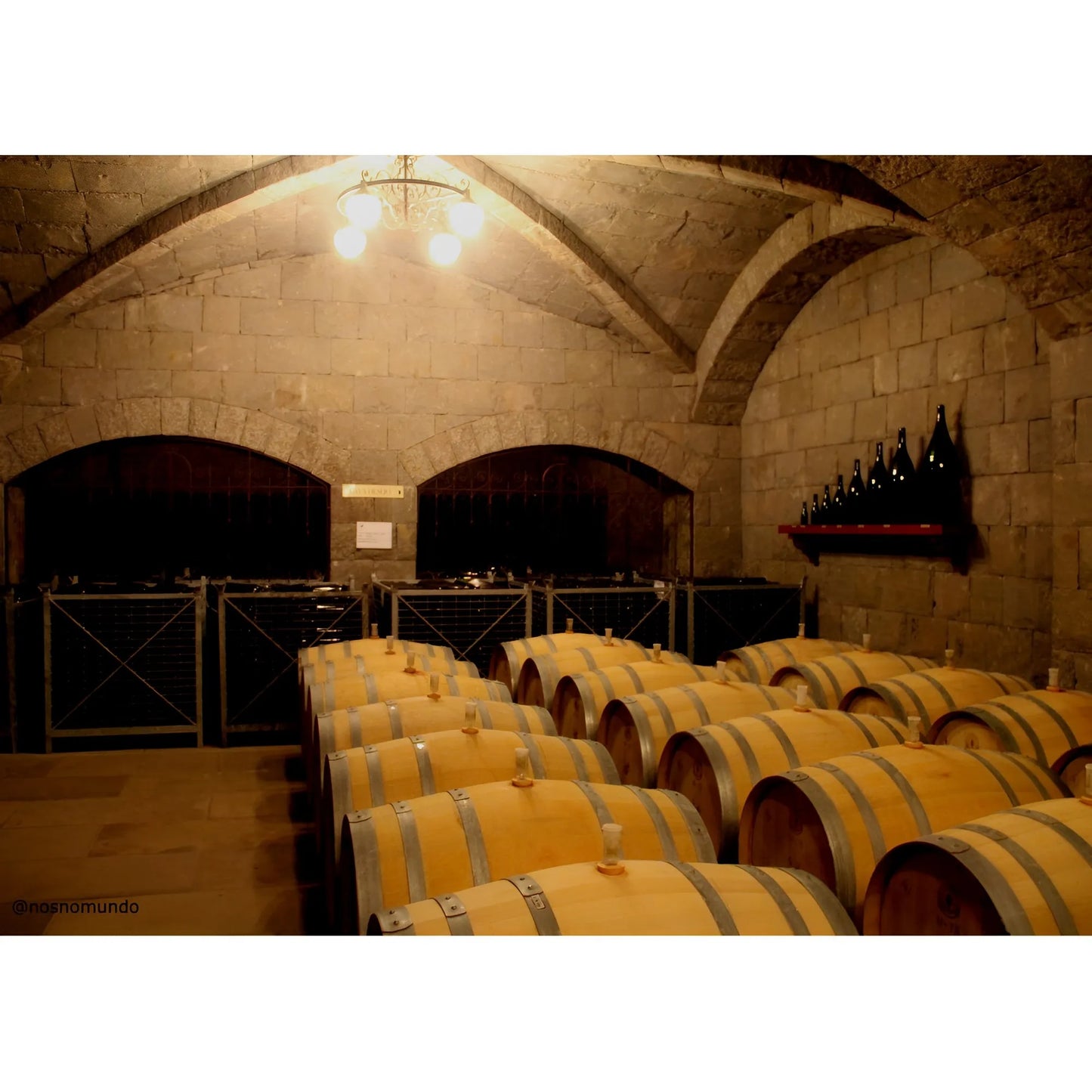 Wine cellar interior with wooden barrels stacked in rows under stone arched ceiling and warm lighting.
